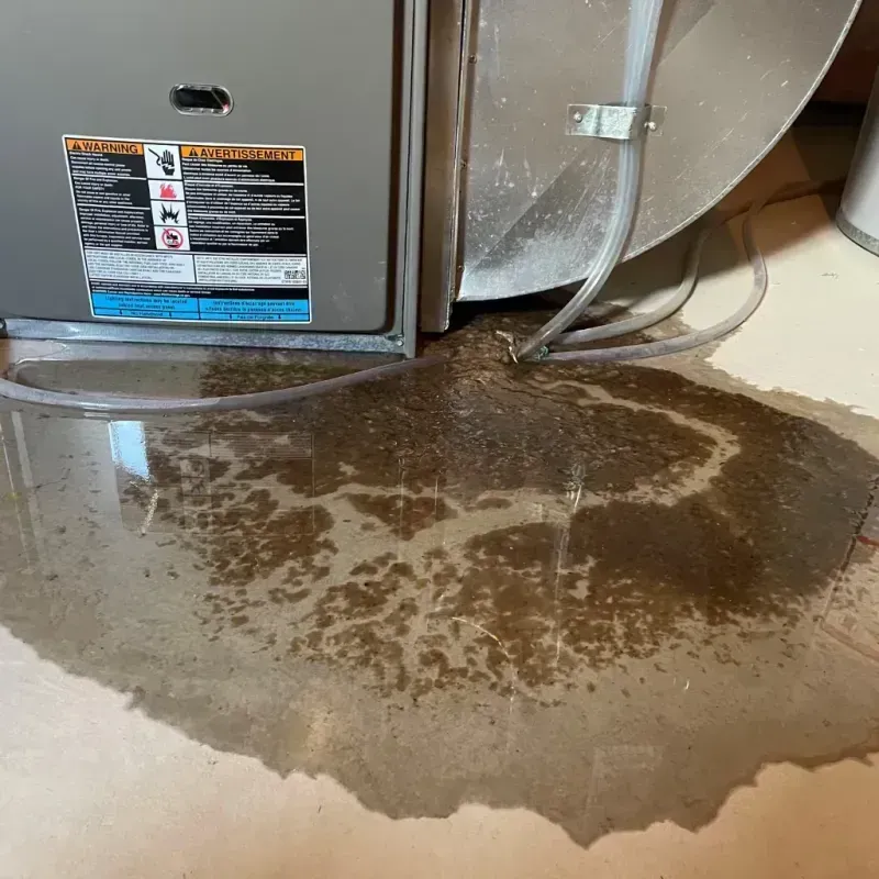 Appliance Leak Cleanup in Glenwood, MN